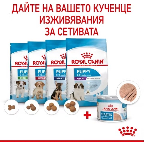 Royal Canin Starter Mousse Can 195g - Мус за бременни и кърмещи кучета и техните малки кученца